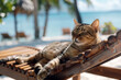 Cat Relaxing on a Beach Lounger