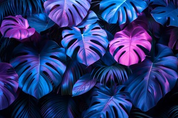 Wall Mural - Artistic close-up of overlapping monstera leaves with vibrant hues and dazzling contrasts