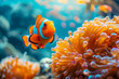 Vibrant clownfish amidst coral reef