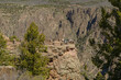 Overlooking Black Canyon
