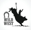 Man riding bucking bronco in rodeo wild west