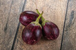 Raw smal asian baby eggplant