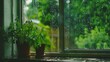   Two potted plants on a window sill