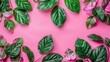   A collection of green and pink leaves against a pink backdrop Text space is available on the image's left side