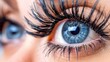   A tight shot of a woman's blue eye, framed by long, black lashes and a thin line of blue eyeliner
