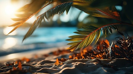 Wall Mural - Palm tree on the beach at sunset. Beautiful tropical background.