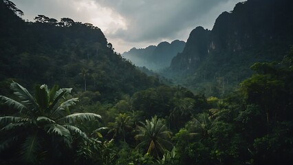 Wall Mural - Tropical island with palm tree