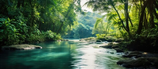 Canvas Print - River flowing through dense woodland