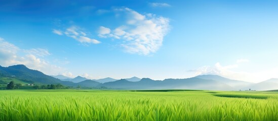 Canvas Print - Green field mountains view