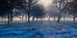 Snow covered field with trees 3d render illustration