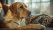 Safe Haven: Vintage Family Dog Watching Over Home, generative ai