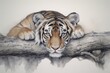 Tiger wildlife painting drawing.