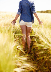 Wall Mural - Woman, touch and plants in outdoor wheat field, spring and relax in sustainable nature. Female person, back and travel to meadow on summer holiday or vacation, environment and trip to countryside