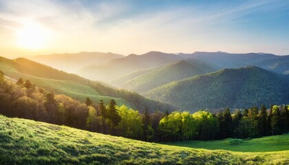 Wall Mural - wonderful springtime panoramic landscape in mountains at sunset grassy slopes and forested hills illuminated with morning sunshine