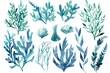 a bunch of watercolor plants and plants on a white background with blue watercolor paint on the bottom