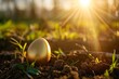 Golden egg in soil at sunrise
