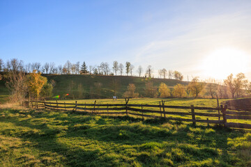 Wall Mural - A large, open field with a fence in the middle