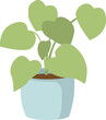 Green heartshaped leaves houseplant blue pot. Indoor potted plant decoration simple flat design. Vector illustration