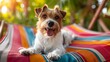 Summer vibe with a happy dog chilling on a striped lounger