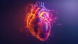 Detailed medical illustration of a human heart in rich colors