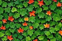 A Close Up Of Green Leaves With Orange Leaves In The Foreground
