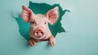 A humorous pig peers through a ripped hole in a contrast pastel color paper background, Ai Generated