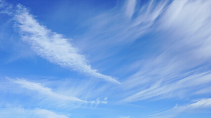 Wall Mural - white clouds against a blue sky on a sunny day.