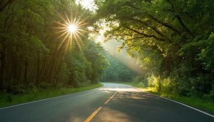 Summer road, forest, nature, sunny and clear day. Travel, relax  and adventure concept