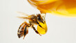 Honeybee suspended in air with droplet of honey, close-up view.