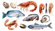 Diverse Species of Aquatic Animals Cultivated in Aquaculture for Sustainable Food Production and Healthy Dining Experiences