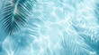 © Spaces - Top view of palm leaf shadow and sun light reflect on clear water surface with white sand background.Summer background.vacation at beach concept.