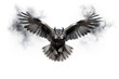 Image of an owl is flying and black smoke before white background. Birds. Wildlife Animals.