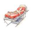 watercolor painting of a stretcher