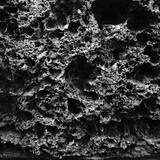Fototapeta  - amazing structure of porous rock found on the ground