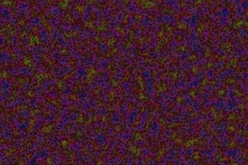Fototapete - creative biological noises computer graphics texture background illustration