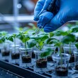 Laboratory technician cultivating plant seedlings