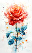 Watercolor painting of red rose on white background.