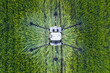 Top view of agriculture drone carrying herbicide reservoir and spraying crop field.