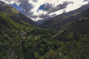Wall Mural - landscape with a view of a green gorge with a river in the mountains with a cloudy sky