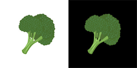 Poster - broccoli vector.eps