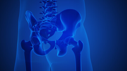 Wall Mural - Painful hip joint with blue background