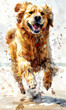 Digital painting of a golden retriever dog jumping and splashing water.