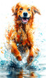 Watercolor painting of a golden retriever running in the water.