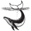 Line art of whale swimming under the water vector