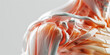 Hyperrealistic translucent muscle and pore detail closeup clean sharp no contrast superdetailed