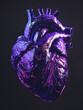 a close up of a purple human heart on a black background