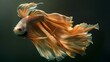 Serene Dance of Betta Fish: A Vivid Portrayal of Grace and Fluidity in Underwater Life