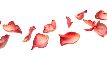 Floating red rose petal isolated on white Background. Concept for love greetings on valentines day and mothers day with copyspace