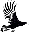 Illustrator of Flying Black Raven
