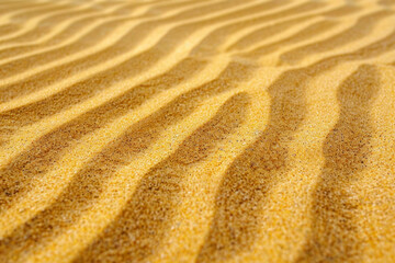  Sand textures with varying grain sizes and patterns, such as beach sand or desert sand. Sand textures can convey a serene and tranquil atmosphere. 